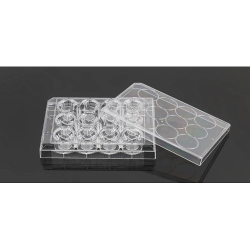 PC Memberane Cell Culture Inserts for 12well plates China Manufacturer